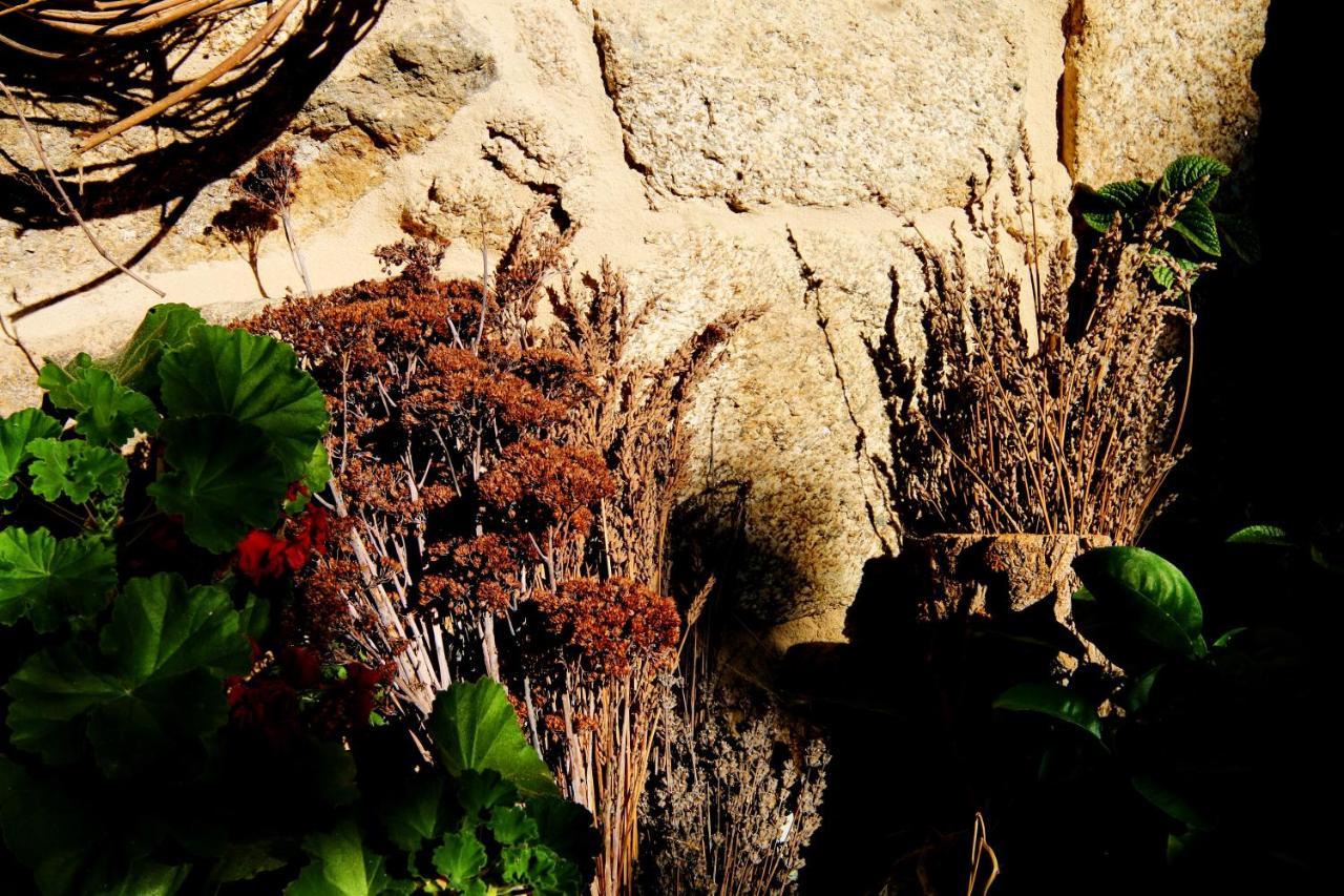 Pazo De Chaioso Ribeira Sacra Maceda Exteriér fotografie